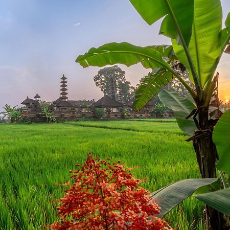 Your Dream Getaway Awaits - Villa In Ubud Offering Unmatched Temple Views! Bagian luar foto